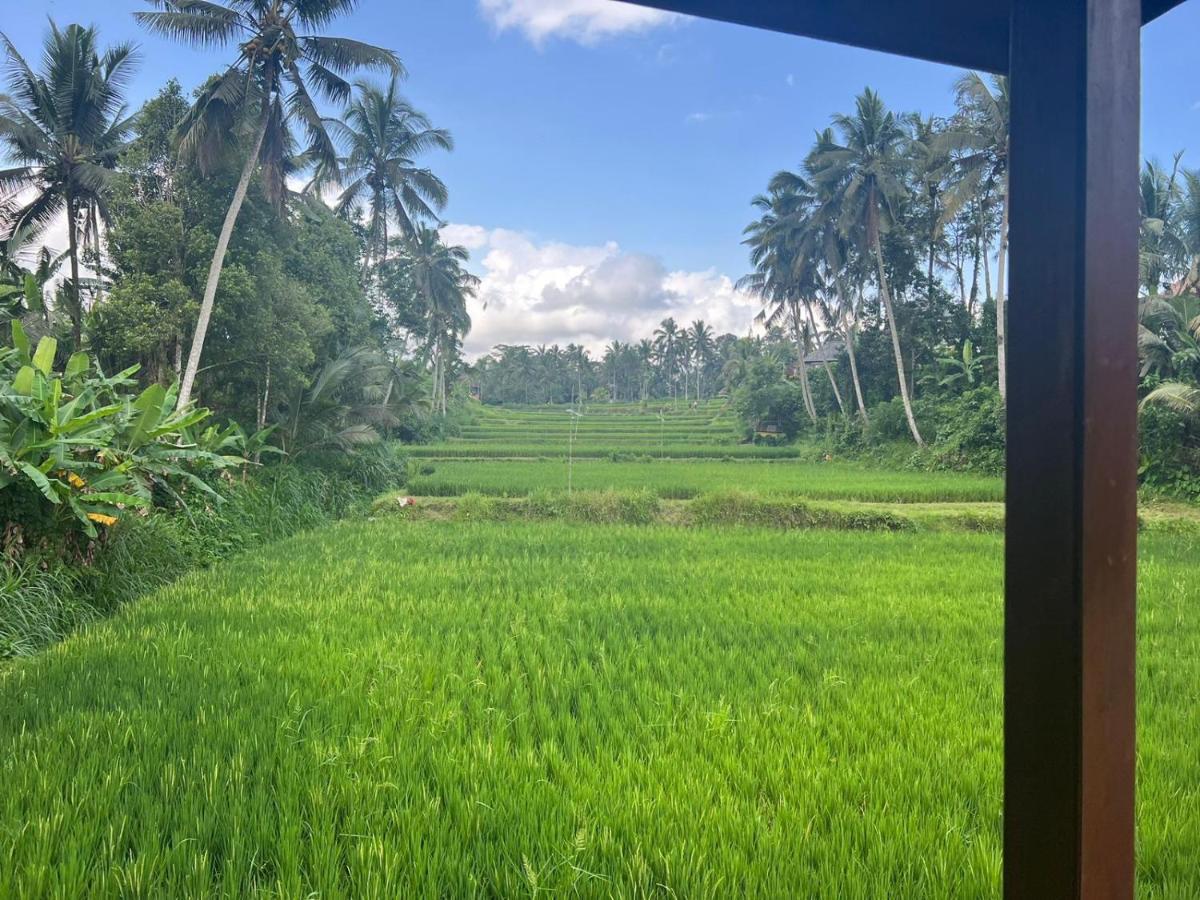 Ubud Sawah Scenery Villa And Homestay Tegallalang  Esterno foto