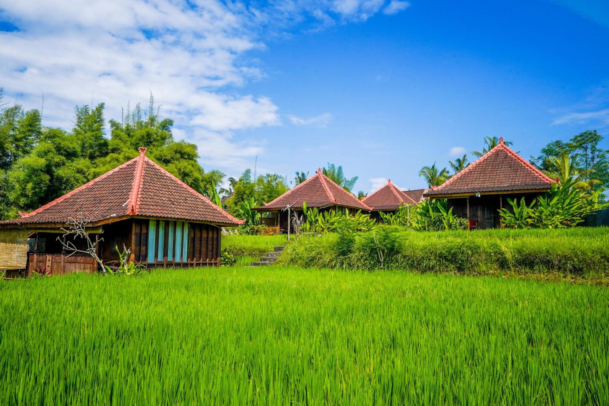 Ubud Sawah Scenery Villa And Homestay Tegallalang  Esterno foto