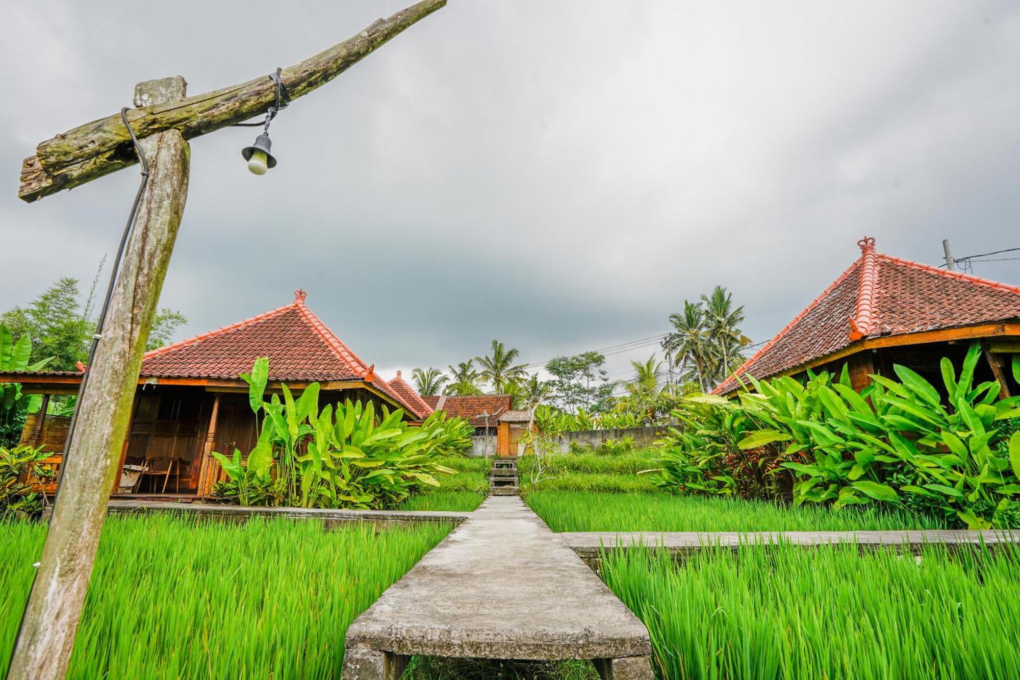 Ubud Sawah Scenery Villa And Homestay Tegallalang  Esterno foto