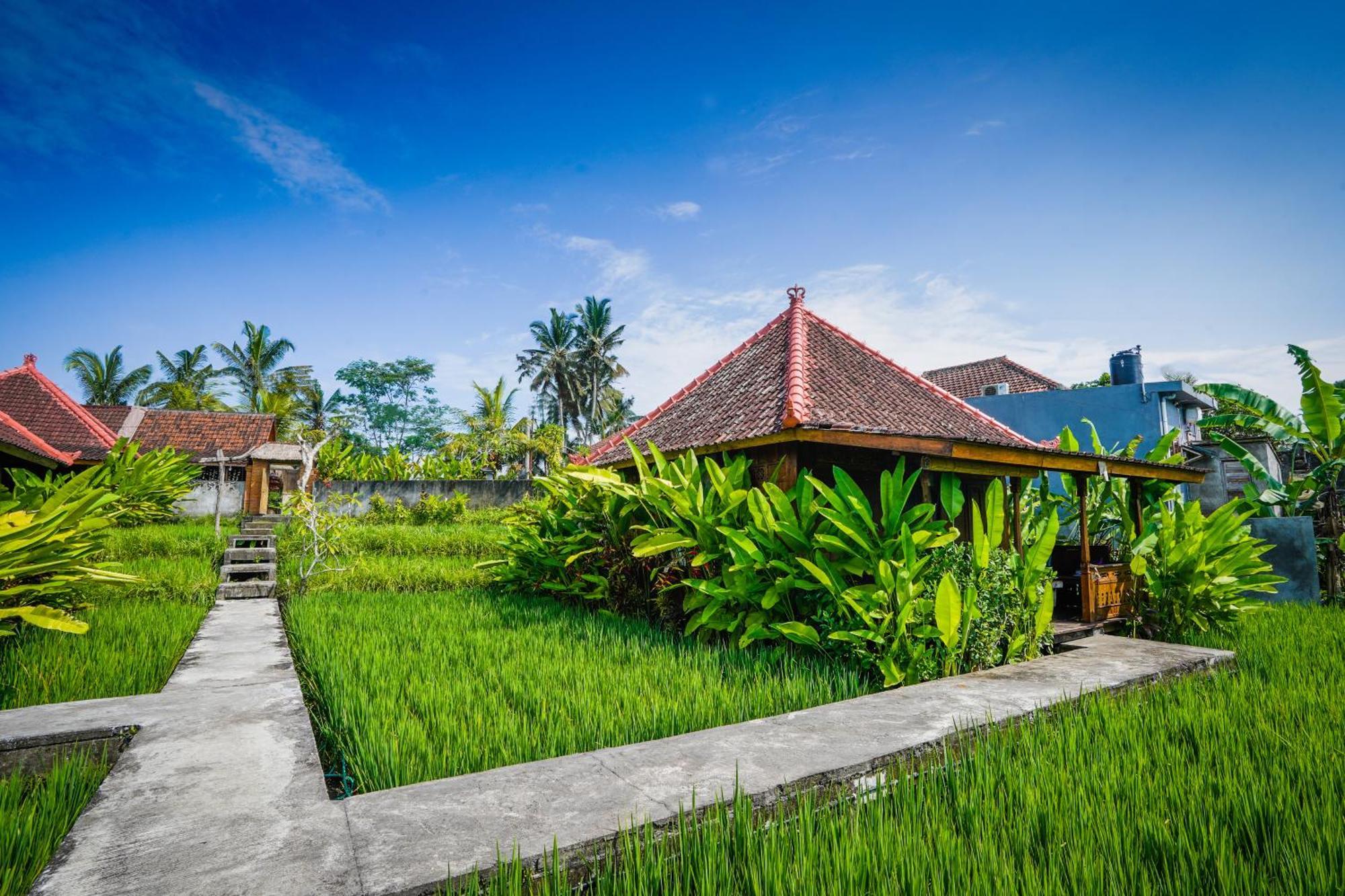 Ubud Sawah Scenery Villa And Homestay Tegallalang  Esterno foto
