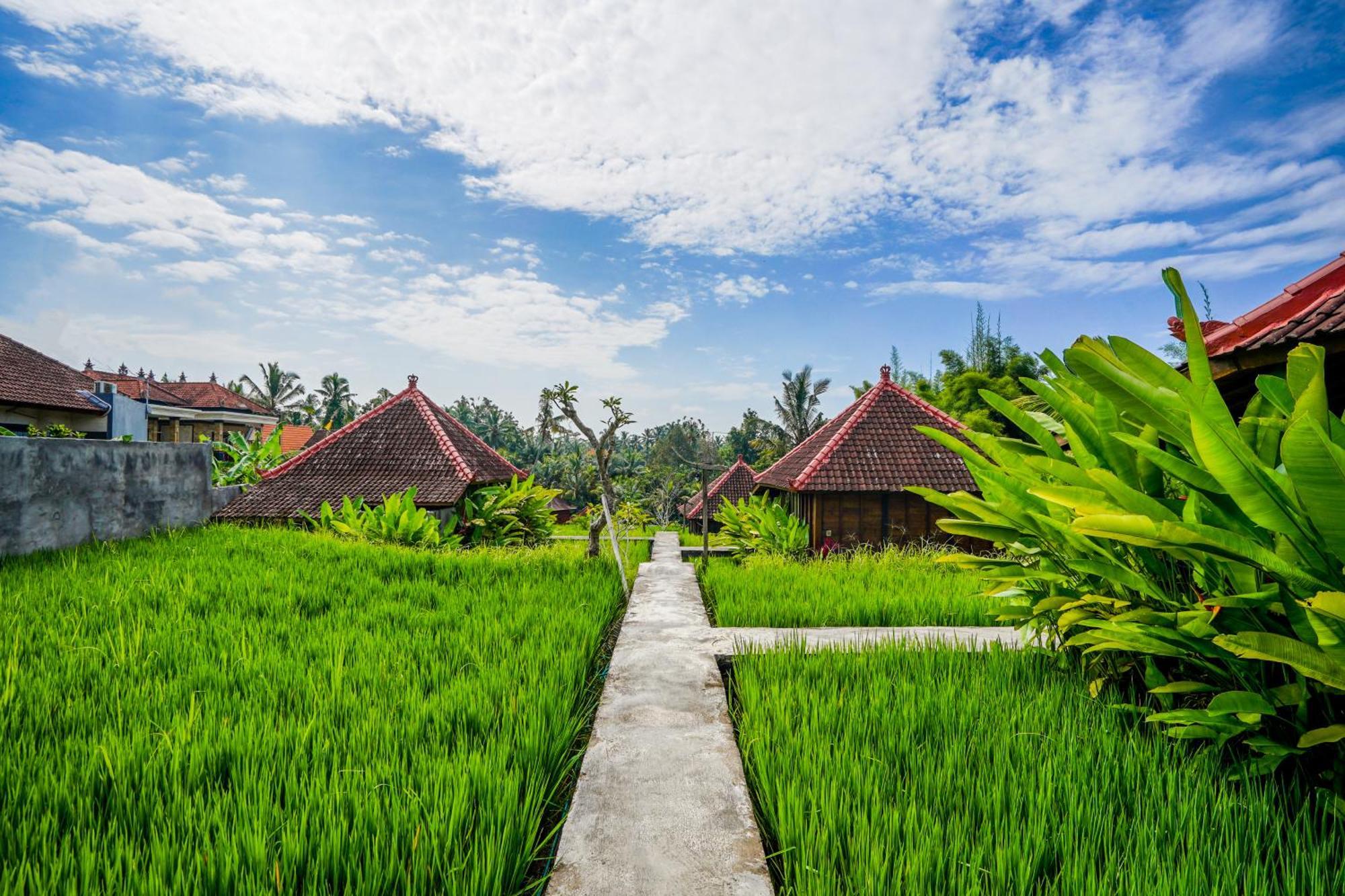 Ubud Sawah Scenery Villa And Homestay Tegallalang  Esterno foto