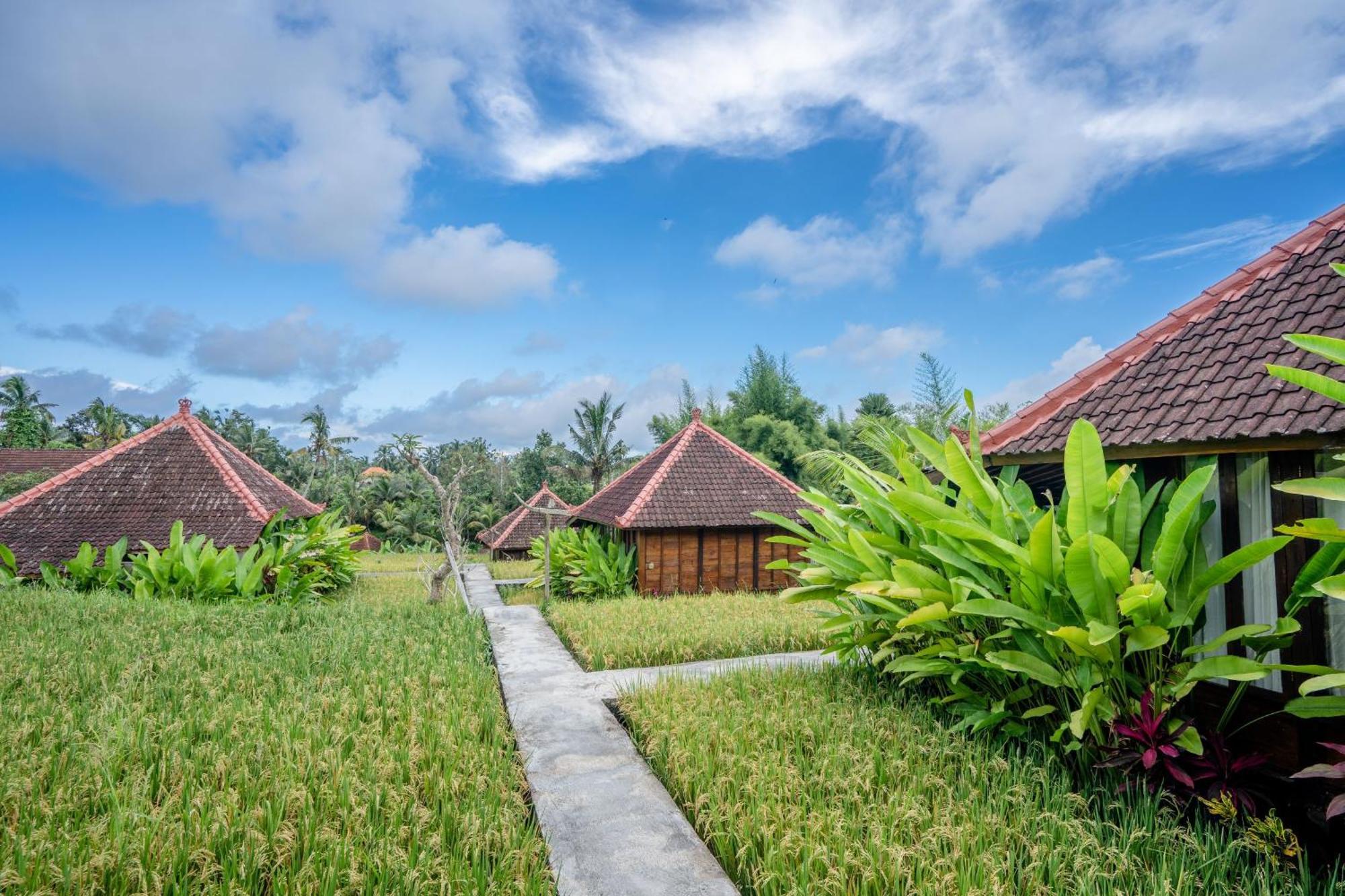 Ubud Sawah Scenery Villa And Homestay Tegallalang  Esterno foto