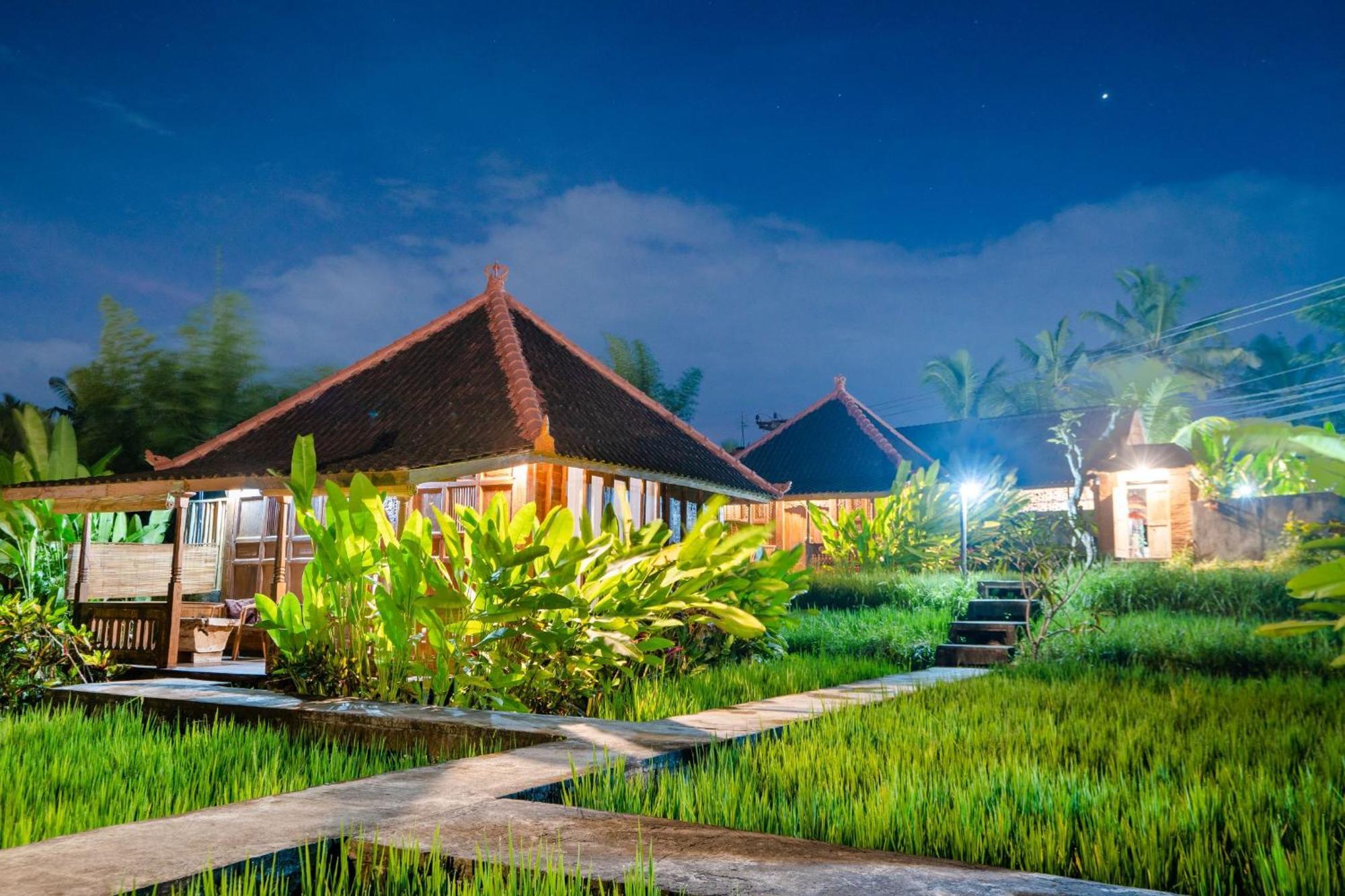 Ubud Sawah Scenery Villa And Homestay Tegallalang  Esterno foto